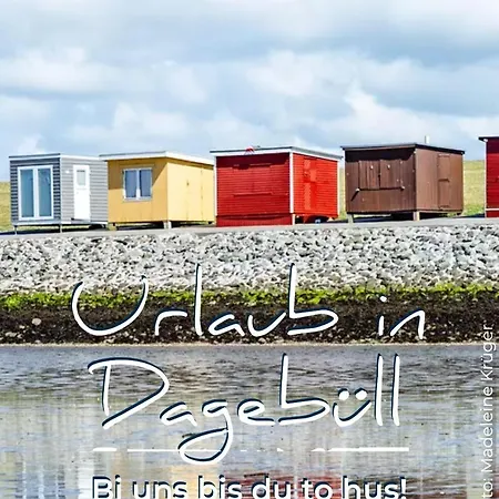 Nebelhorn In Dagebüll