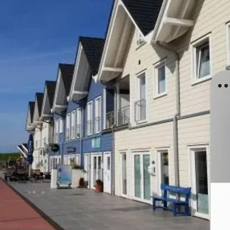 Nebelhorn In Dagebüll