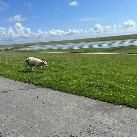 Nebelhorn In Appartamento *