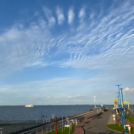 Nebelhorn In Dagebüll