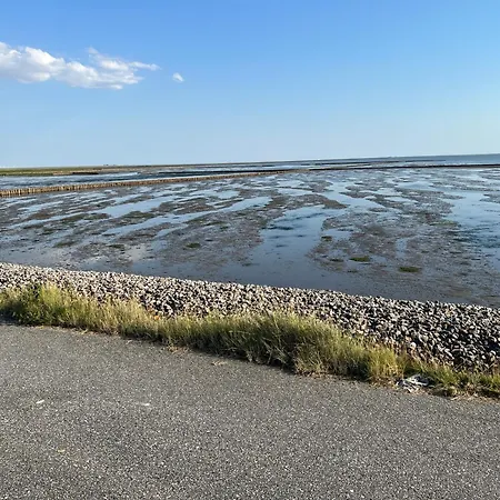 Nebelhorn In * Dagebüll