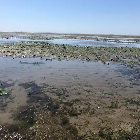 Nebelhorn In * Dagebüll