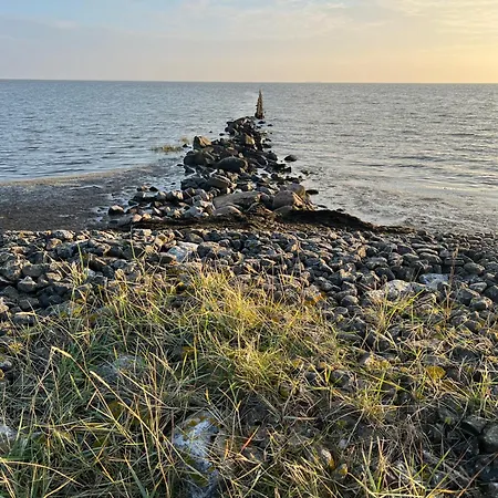 Nebelhorn In Dagebüll